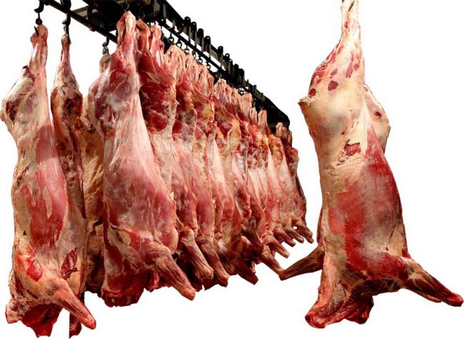Мясо говядины, птицы, баранины, свинины от 1 тн.