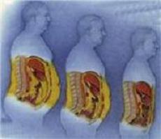 Похудение Снижение веса