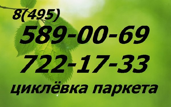 Циклевка ремонт шлифовка паркета